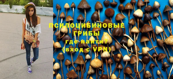 прущие крисы Алексеевка