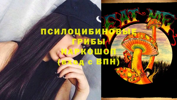 индика Алексин
