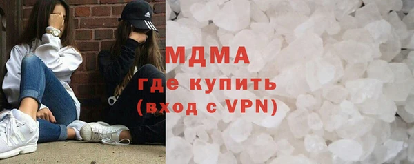 индика Алексин