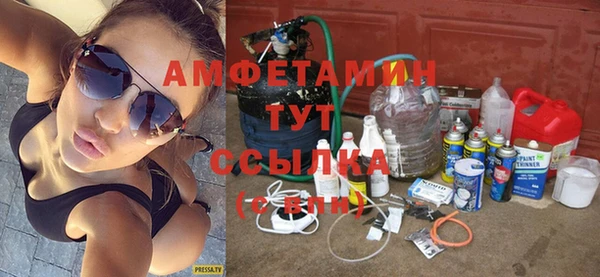 индика Алексин
