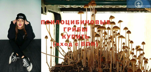индика Алексин